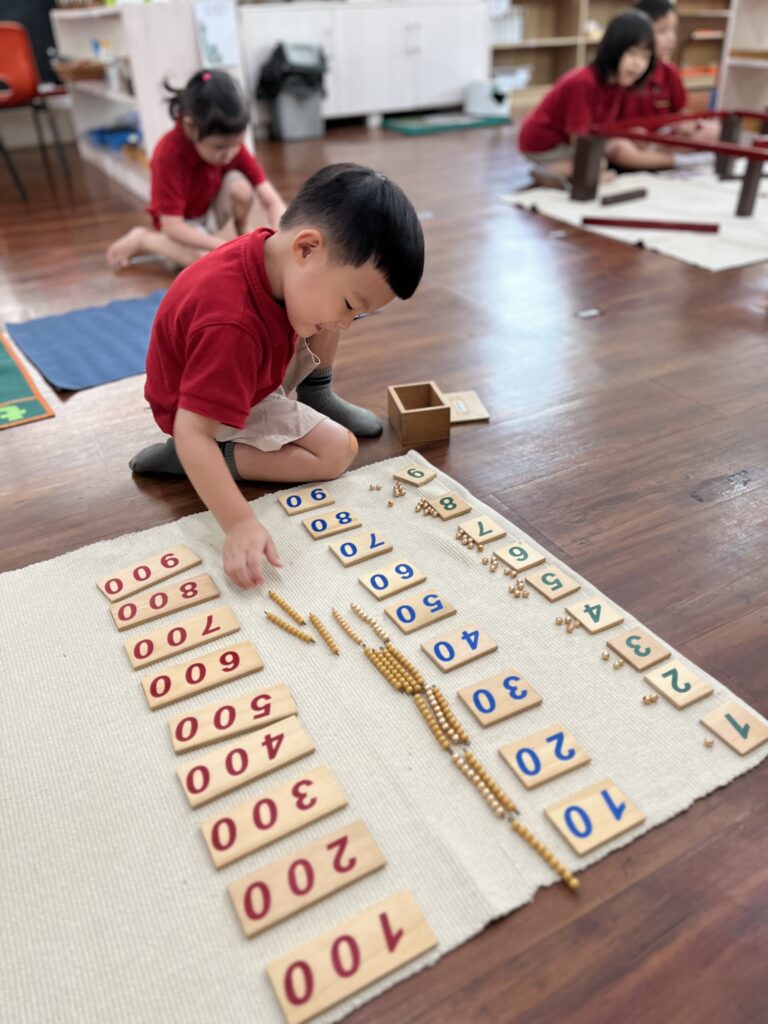 Celebrating National Health Day 2024: Fostering Holistic Well-Being with Pascal Montessori