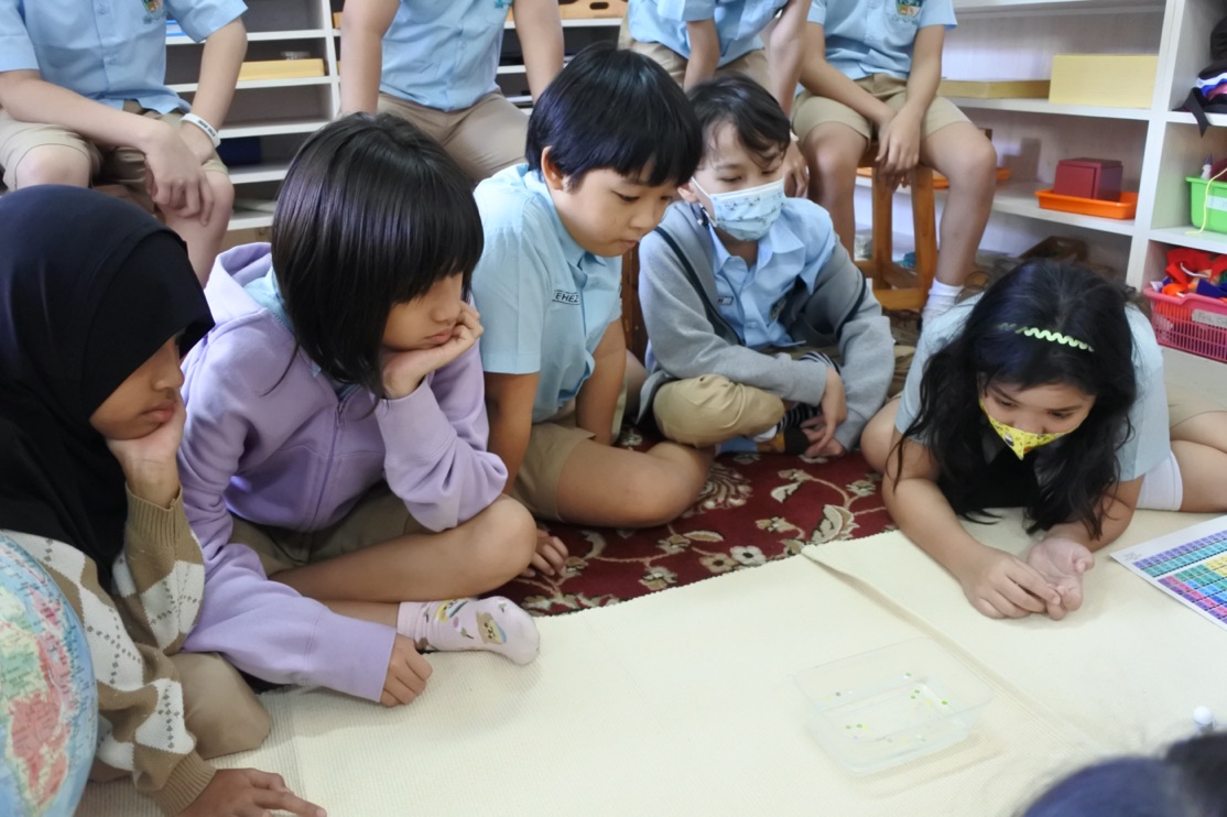 Emotional Intelligence in the Montessori Environment