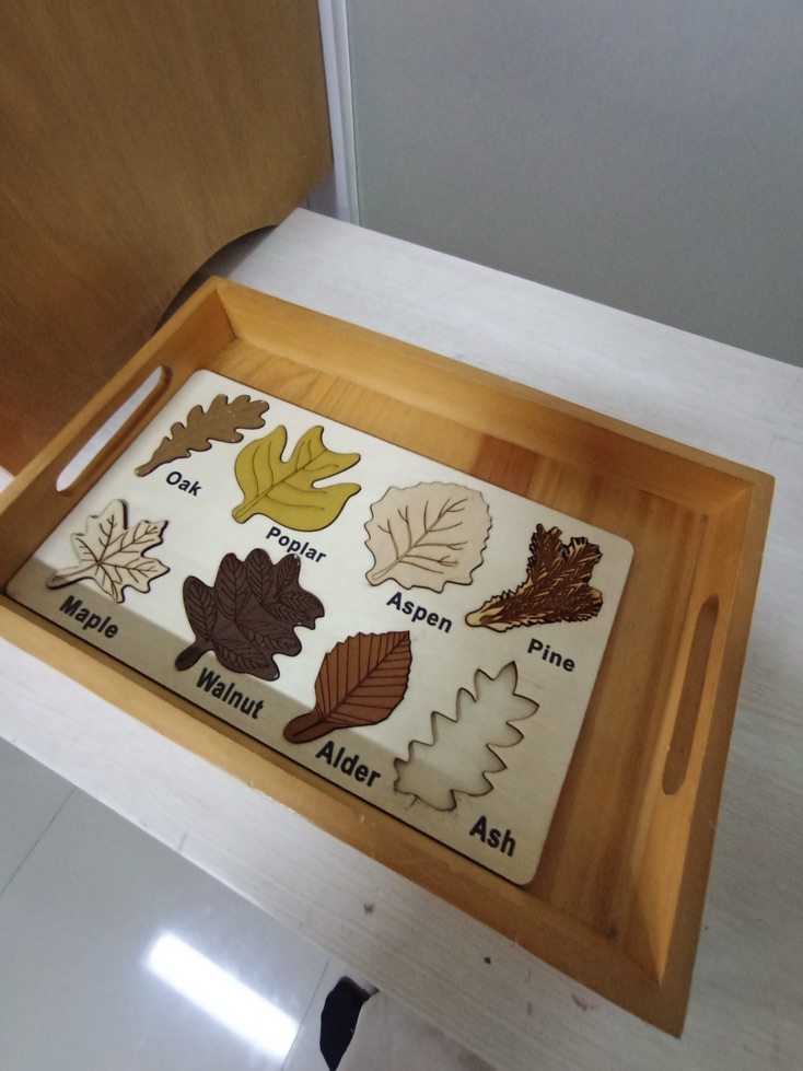 Family as the 'Prepared Environment': Collaborating with Pascal Montessori on National Family Day